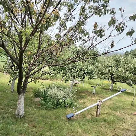 Maj1 * Кладово